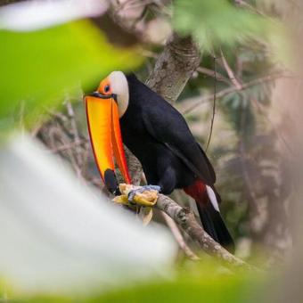 Hotel Fazenda Uni�o