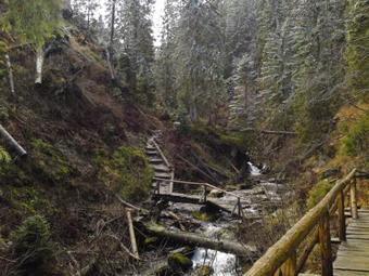 Horsk� Apartm�ny Jesen�ky