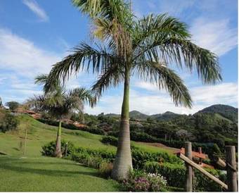 Hostal Pousada Recanto Varanda Do Sol