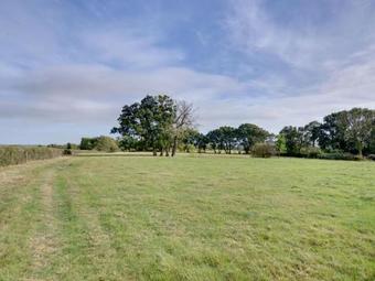Cozy Holiday Home In Bodle Street Green With Garden