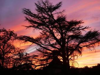 Hotel The Originals Ch�teau de Tauzies