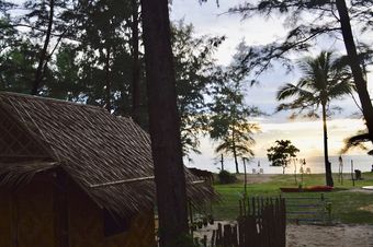 Micky Monkey Beach Hotel Phuket Maikhao Thailand