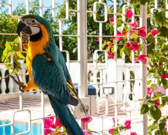 Bed & Breakfast Prestige Property - Da Costa