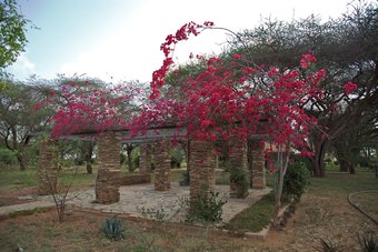 Ashnil Aruba Lodge