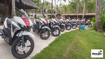 Hotel Jungle Koh Kood Resort