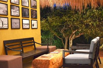 Jetwing Safari Camp ( All Inclusive)