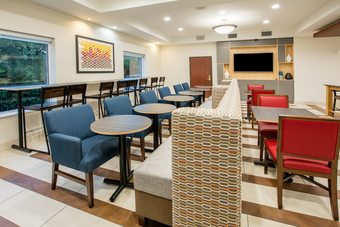 Holiday Inn Express Hotel & Suites Dallas-grand Prairie I-20