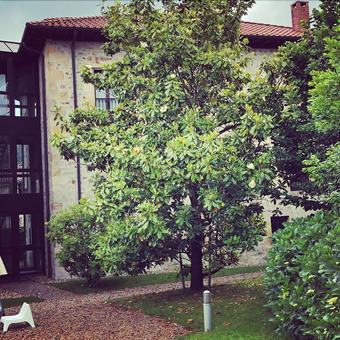 Pension Posada La Robla