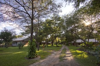 Posada Camp Nkwazi