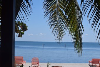 Ver fotos