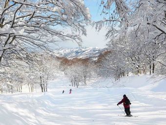 Apartamento Hotel Green Plaza Joetsu