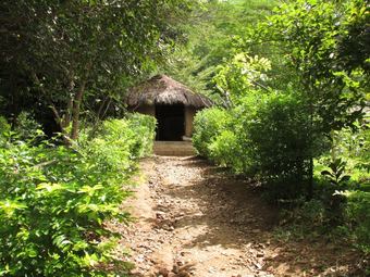 Udzungwa Forest Camp