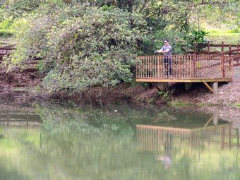 Posada Chachagua Rainforest Eco Lodge