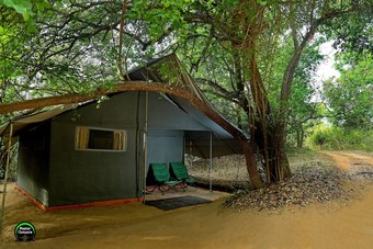 Master Campers Lanka