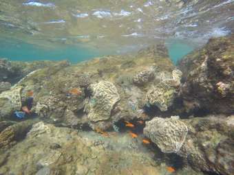 Villa Khumbula Imozambique