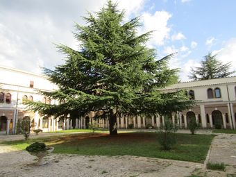 Monastero San Vincenzo