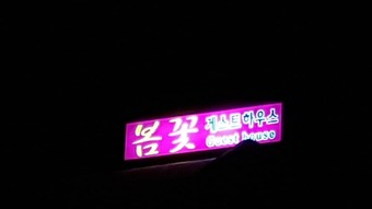 Hostal Springflower Guesthouse - Hostel