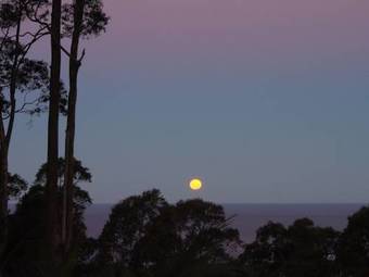 Villa Bundle Hill Cottages
