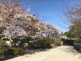 Hotel Villa Rivarola