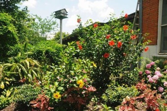 Old Castillo Bed And Breakfast