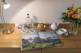 Sunstar Hotel Grindelwald