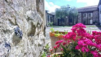 Agroturismo Il Borgo Dell'arcangelo