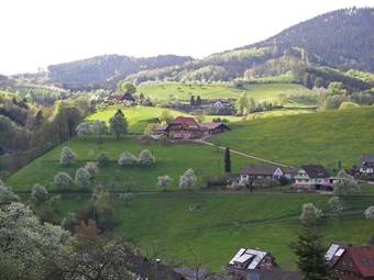 Apartment Oberharmersbach I