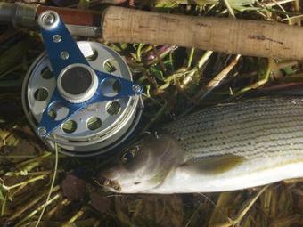 Hotel Haus Hochstein