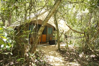 Hotel Explorer By Mahoora - Dambana ( All- Inclusive)