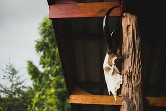 Hotel The Antique Riverside