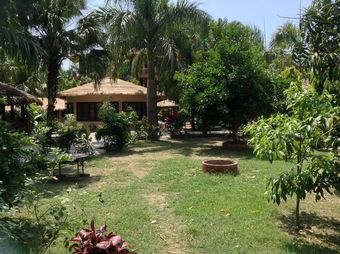 Hotel Eden Jungle Resort