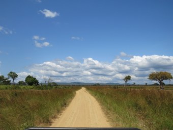 Posada Mikumi Wildlife Camp
