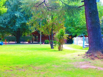 Los Platanos Caba�as & Suites