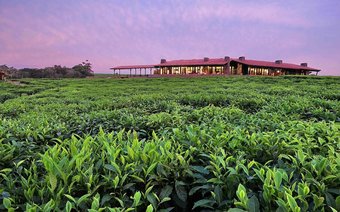 Hotel One&only Nyungwe House