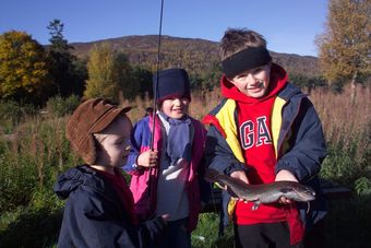 Macdonald Lochanhully Woodland Club