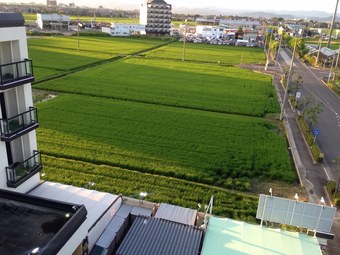 Hotel Tiger And Dragon