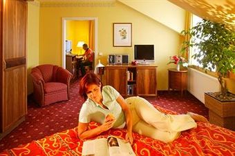 Ringhotel Hotel Zum Stein