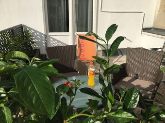 Apartamentos Heart Of Vienna Hoher Markt