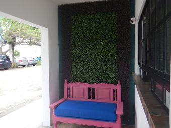 Motel Blue Coconut Cancun