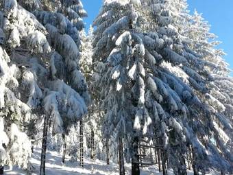 Apartamento G�stehaus Regina