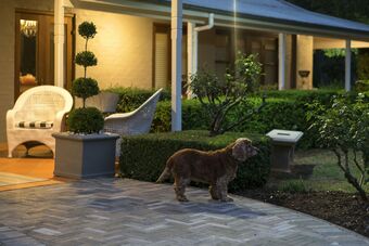 Hotel Thistle Hill Guest House