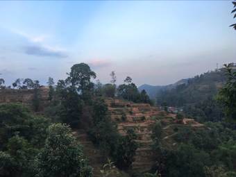 Hotel Green Hill Rest Camp