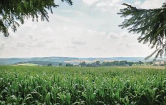 Holiday Home Gahma Y