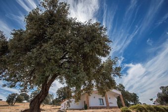 Apartamentos La Alde�lla