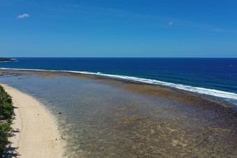 Hotel Calypso Surf And Dive