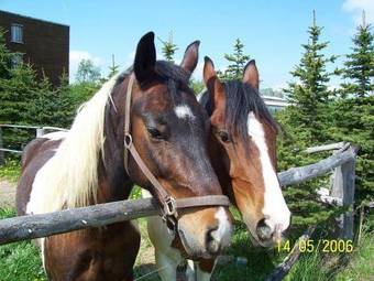 Agroturismo Hotel Und Reiterhof An Der Talsperre