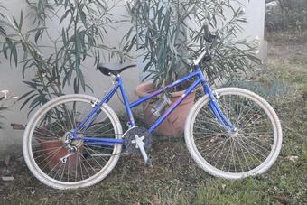 Apartamento La Casa Del The In Monferrato