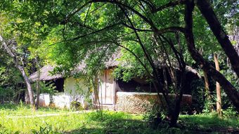 Posada Mikoko Cove Ecolodge