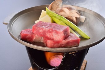 Tateyama Resort Hotel