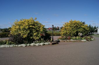 Apartamento Stanley Bridge Country Resort